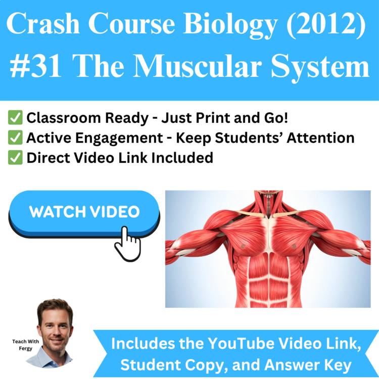 Crash Course BIOLOGY (2012) #31: The Muscular System | Muscle Tissue, Structure