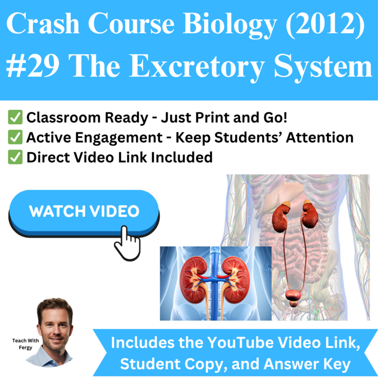 Crash Course BIOLOGY (2012) #29: The Excretory System | Osmoregulation, Kidneys