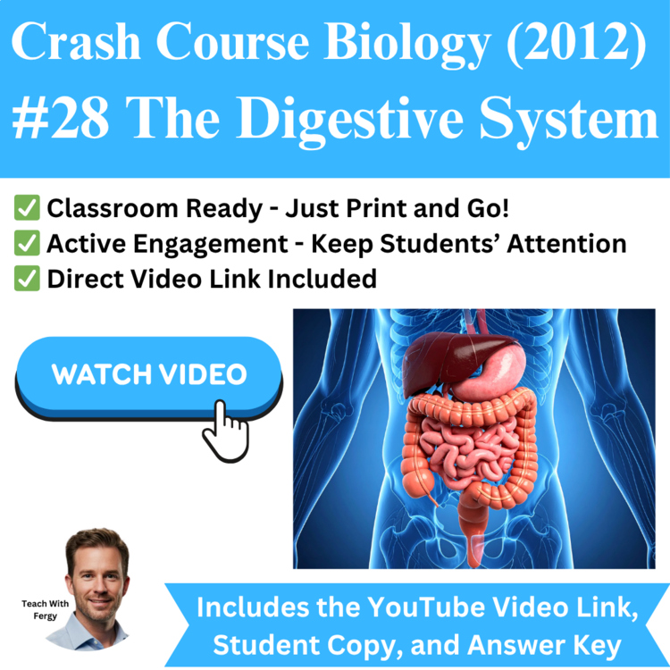 Crash Course BIOLOGY (2012) #28: The Digestive System | Human Digestion