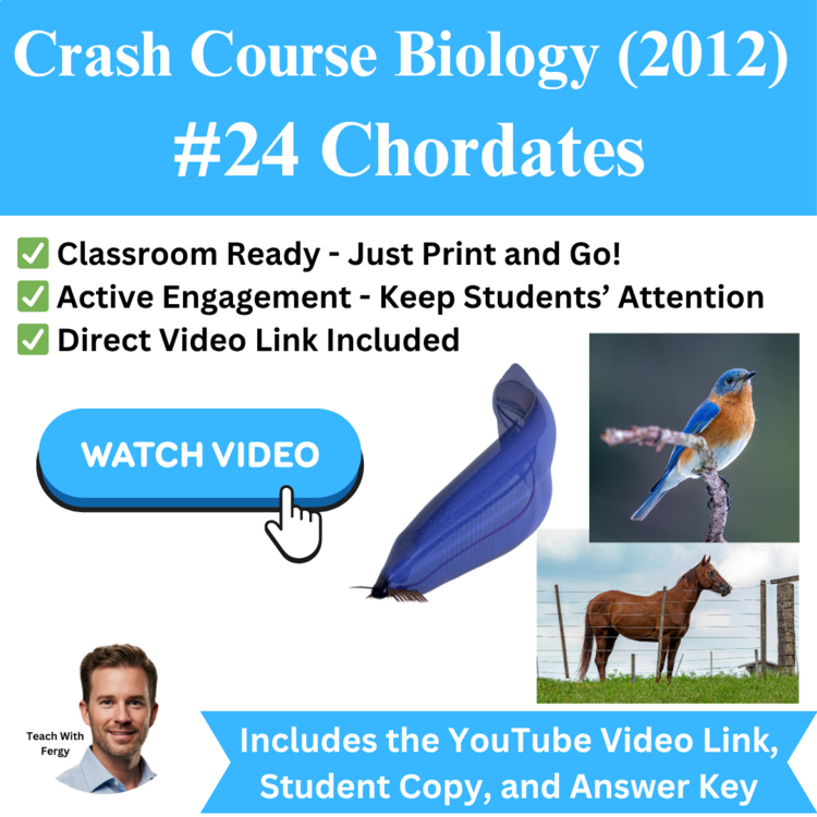 Crash Course BIOLOGY (2012) #24: Chordates | Phylum, Animal Development