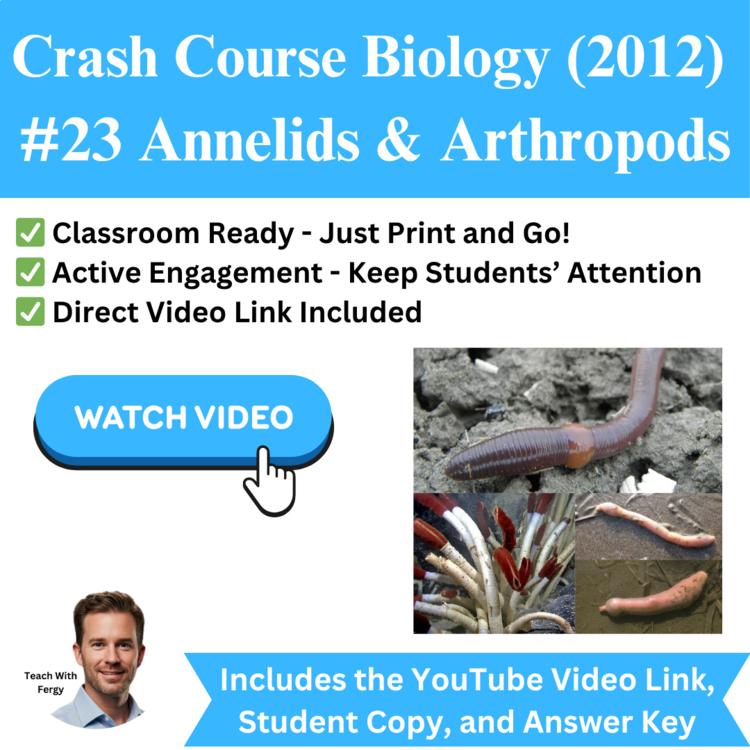 Crash Course BIOLOGY (2012) #23: Annelids & Arthropods | Complex Animals