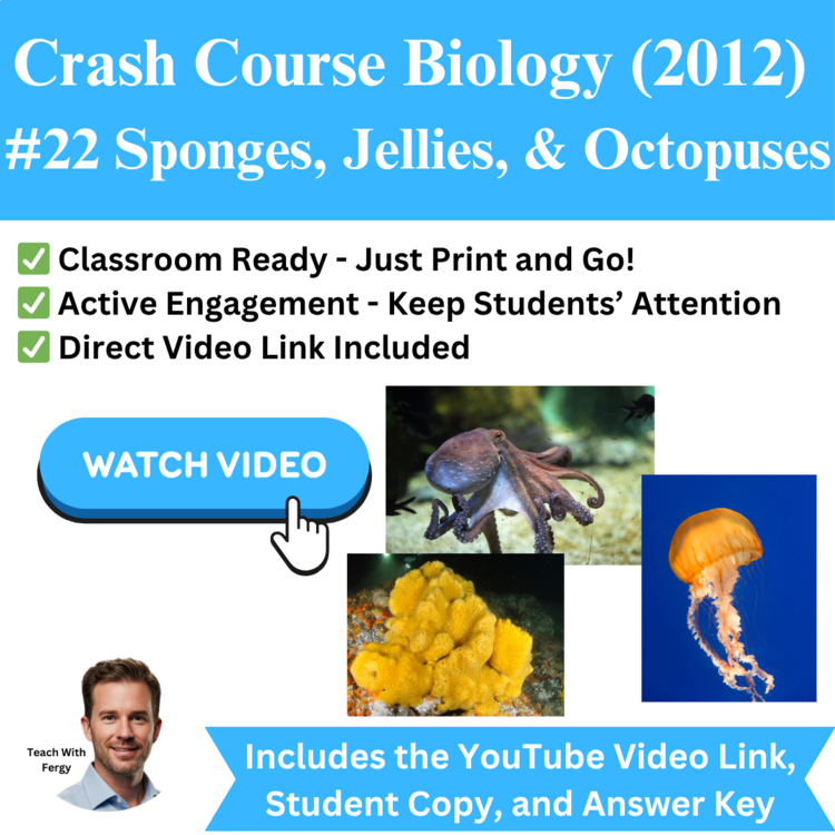 Crash Course BIOLOGY (2012) #22: Sponges, Jellies, Octopuses | Simplest Animals