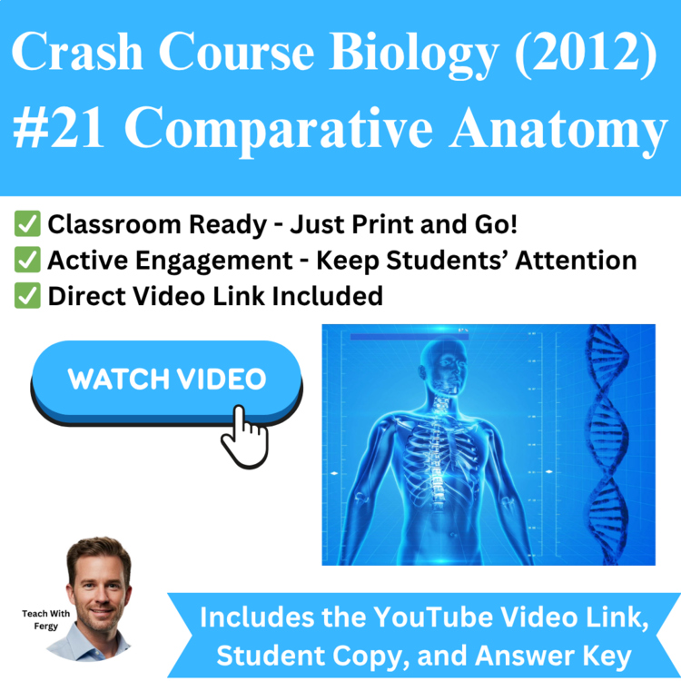 Crash Course BIOLOGY (2012) #21: Comparative Anatomy | Animal Anatomies