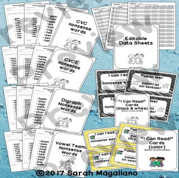 Nonsense Words Fluency Tests and Data Sheets, image 2