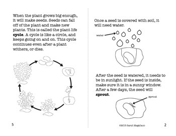 Plants Booklet, image 4