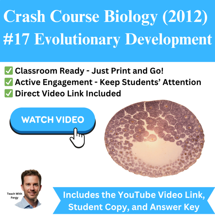 Crash Course BIOLOGY (2012) #17: Evolutionary Development | Zygote, Blastula