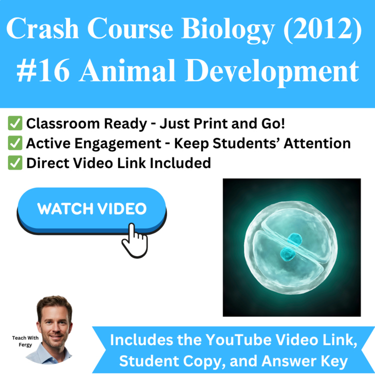Crash Course BIOLOGY (2012) #16: Animal Development | Phylum, Gametes, Zygote