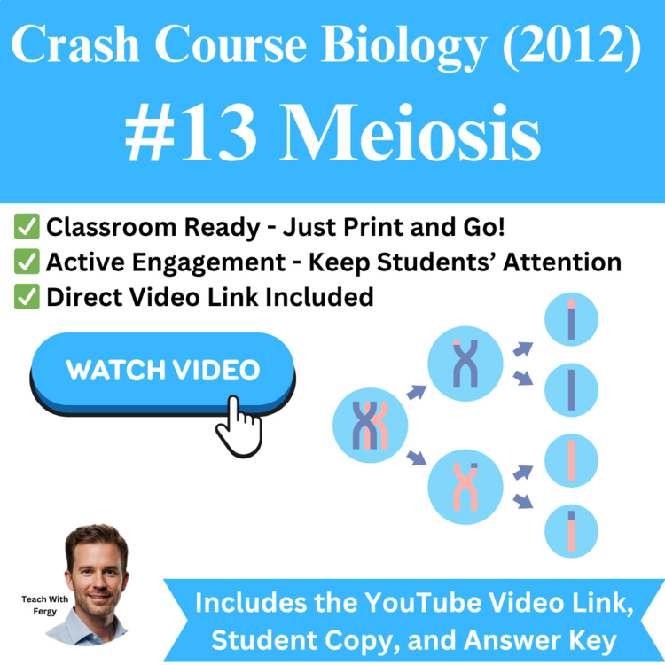 Crash Course BIOLOGY (2012) #13: Meiosis | Haploid Chromosome, Video Worksheet