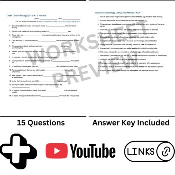 Crash Course BIOLOGY (2012) #13: Meiosis | Haploid Chromosome, Video Worksheet, image 3
