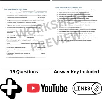 Crash Course BIOLOGY (2012) #12: Mitosis | DNA, Cell Division Video Worksheet, image 3
