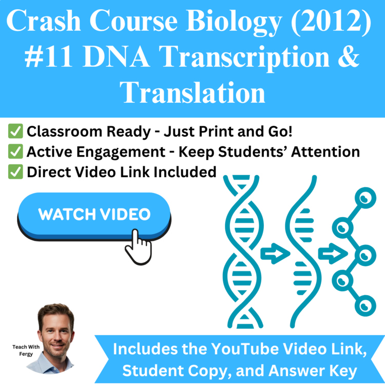 Crash Course BIOLOGY (2012) #11: DNA Transcription and Translation