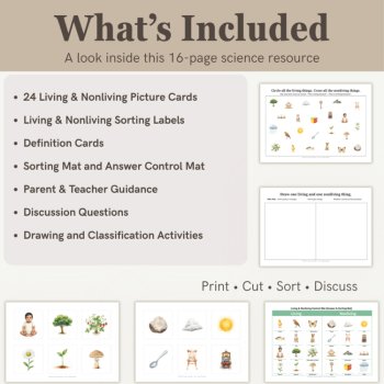 Living & Nonliving Sorting Cards | Science Classification Activities | Ages 3–6, image 2