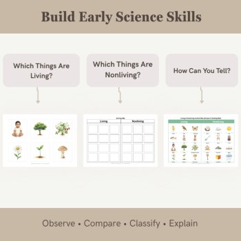 Living & Nonliving Sorting Cards | Science Classification Activities | Ages 3–6, image 3