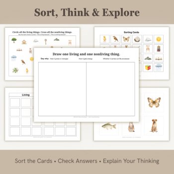Living & Nonliving Sorting Cards | Science Classification Activities | Ages 3–6, image 4