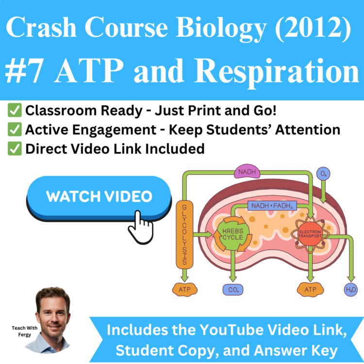 Crash Course BIOLOGY (2012) #7: ATP and Respiration | Cellular Respiration