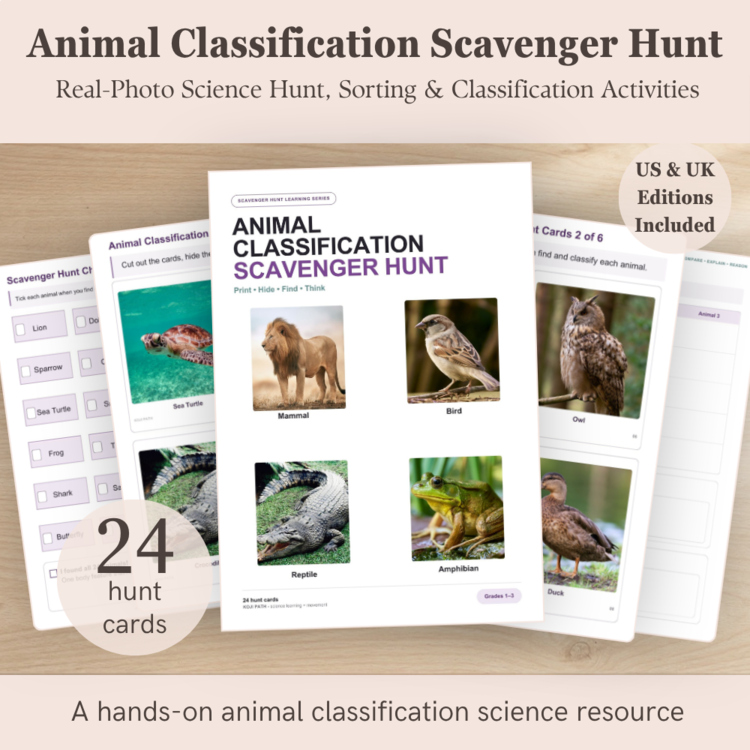 Animal Classification Scavenger Hunt | Animal Groups Science Activity Grades 1–3