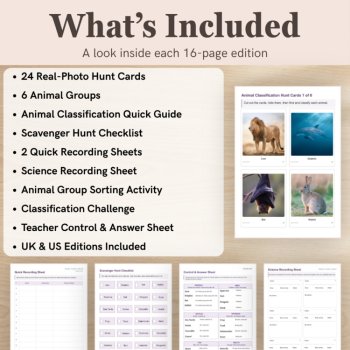 Animal Classification Scavenger Hunt | Animal Groups Science Activity Grades 1–3, image 2