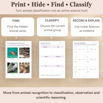Animal Classification Scavenger Hunt | Animal Groups Science Activity Grades 1–3, image 3