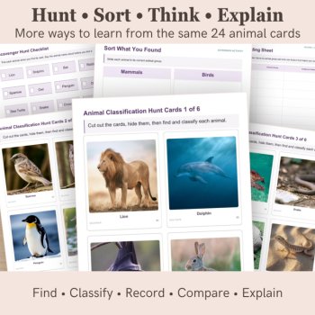 Animal Classification Scavenger Hunt | Animal Groups Science Activity Grades 1–3, image 4
