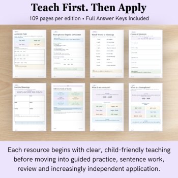 Vocabulary Bundle | Synonyms, Antonyms, Homophones & Word Meaning, image 3