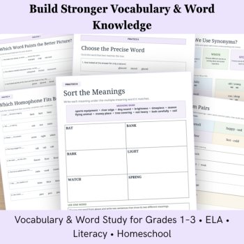 Vocabulary Bundle | Synonyms, Antonyms, Homophones & Word Meaning, image 4