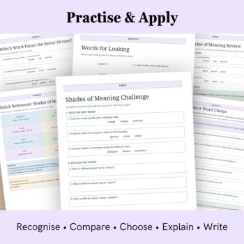 Shades of Meaning Worksheets & Activities | Vocabulary | 2nd & 3rd Grade, image 4