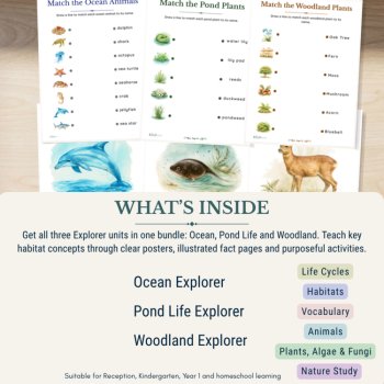 Explorer Habitats Bundle | Ocean, Pond Life & Woodland Science Activities, image 2