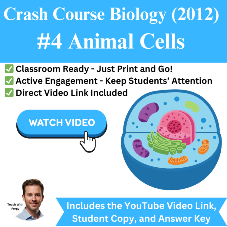 Crash Course BIOLOGY (2012) #4: Animal Cells | Eukaryotes, Organelles