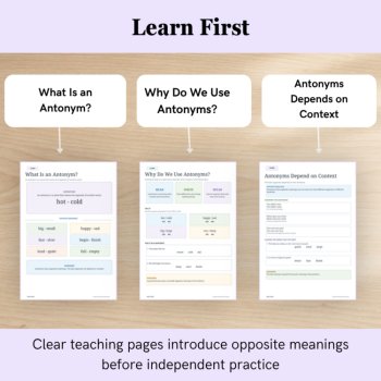 Antonyms Worksheets & Activities | Opposite Words & Vocabulary | Grades 1–3, image 3