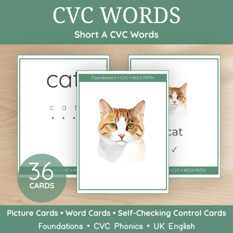 Short A CVC Words | Picture & Word Matching Cards | Phonics Center