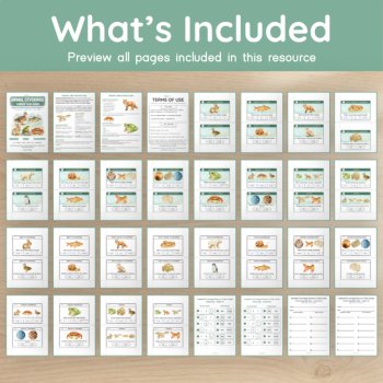 Animal Coverings Science Task Cards | Fur, Feathers, Scales & Shells, image 4