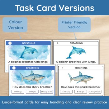 Ocean Animals Science Task Cards | Habitats, Adaptations & Food Chains | Ages 5–7, image 2