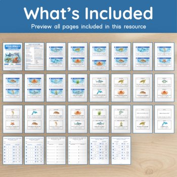 Ocean Animals Science Task Cards | Habitats, Adaptations & Food Chains | Ages 5–7, image 4