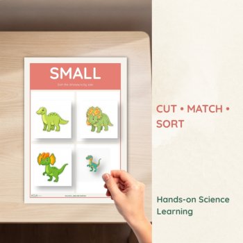 Dinosaur Size Sorting Activity | Small, Medium & Large Sorting Cards, image 3