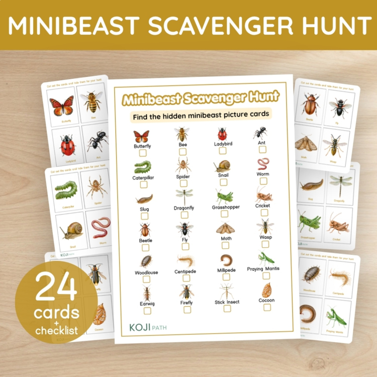 Minibeast Scavenger Hunt | 24 Picture Cards & Checklist | Bug Hunt