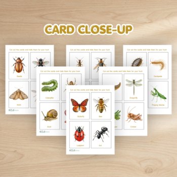 Minibeast Scavenger Hunt | 24 Picture Cards & Checklist | Bug Hunt, image 3