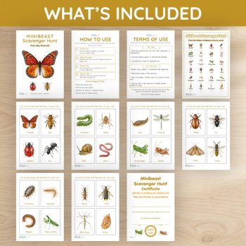 Minibeast Scavenger Hunt | 24 Picture Cards & Checklist | Bug Hunt, image 4