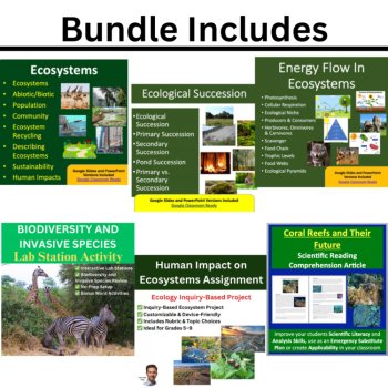 Ecosystems & Food Webs Unit: Energy Flow, Succession & Human Impact, image 2