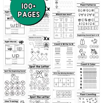 Preschool Plants Unit Pre K Curriculum No Prep Packet Plants Themed Unit, image 4