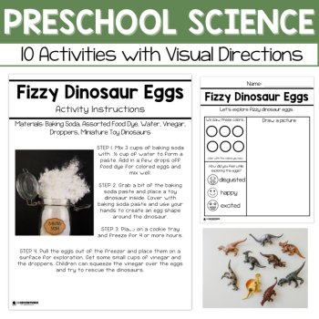 Preschool Dinosaurs Unit, Fossils Rocks Preschool Science Lessons-Pre-K Science, image 4