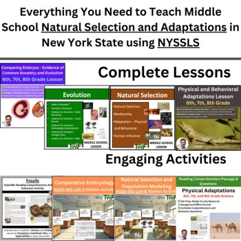 New York Science - MS. Natural Selection and Adaptations Bundle | NYSSLS, image 2