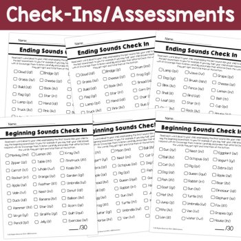 Beginning & Ending Sounds Phonics Practice Phonemic Awareness Assessments SOR, image 3