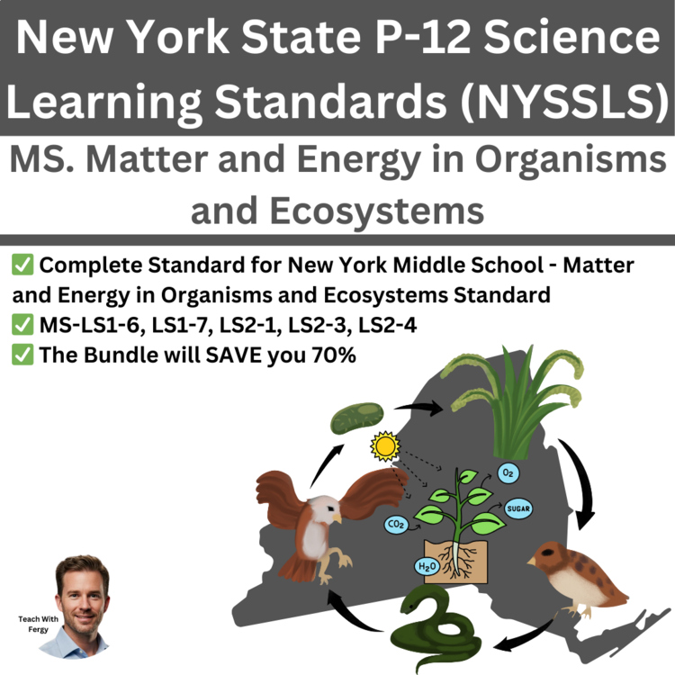 New York Science - MS. Matter and Energy in Organisms and Ecosystems Bundle