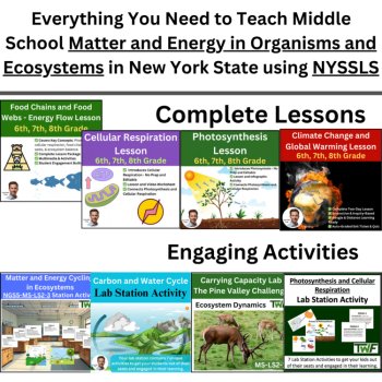 New York Science - MS. Matter and Energy in Organisms and Ecosystems Bundle, image 3