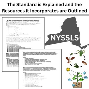 New York Science - MS. Matter and Energy in Organisms and Ecosystems Bundle, image 4
