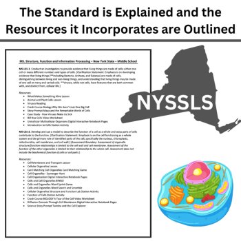 New York Science Middle School - MS. Structure, Function and Information Bundle, image 4