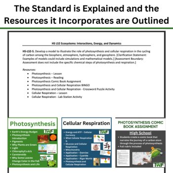 HS-LS2-5 Modeling Carbon Cycling: Photosynthesis and Respiration BUNDLE, image 4