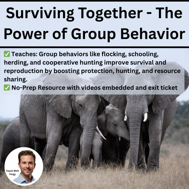The Power of Group Behavior for Survival and Reproduction Lesson | HS-LS2-8