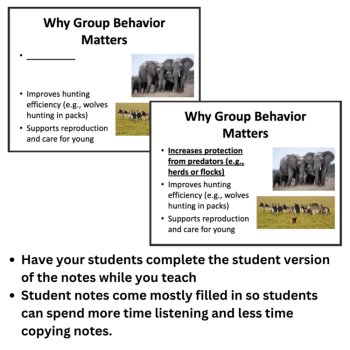 The Power of Group Behavior for Survival and Reproduction Lesson | HS-LS2-8, image 2