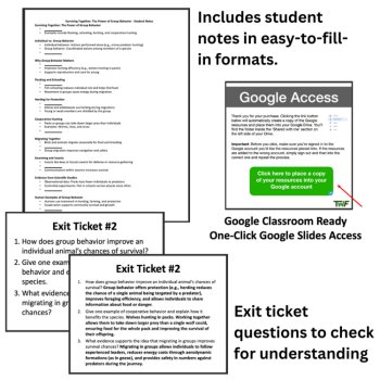 The Power of Group Behavior for Survival and Reproduction Lesson | HS-LS2-8, image 4